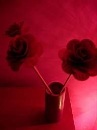 roses