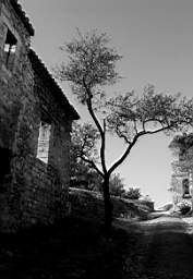 saintandre