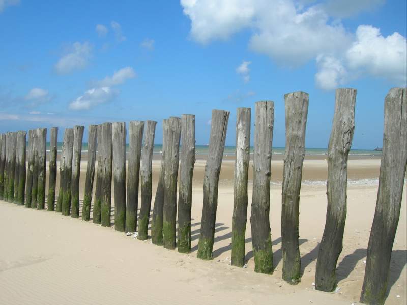 briselames
