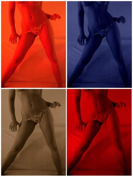 quadricolor
