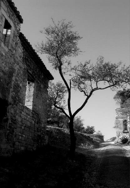 saintandre